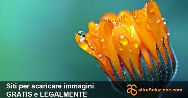 Immagini gratis