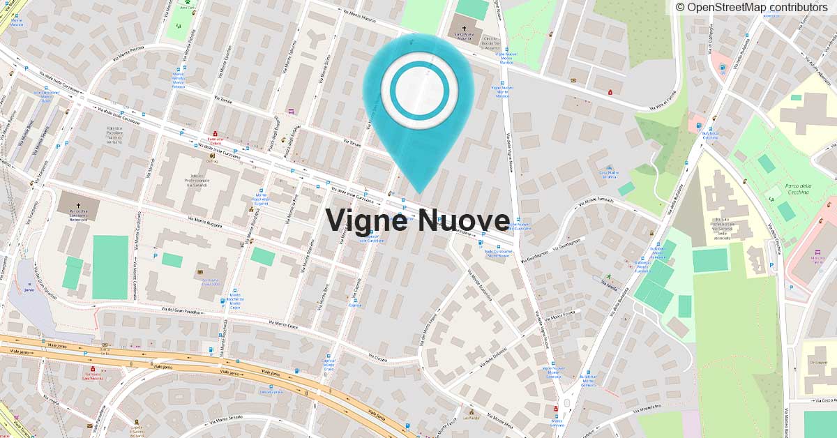Mappa di Vigne Nuove: assistenza tecnica per la creazione di siti web e piattaforme e-Commerce